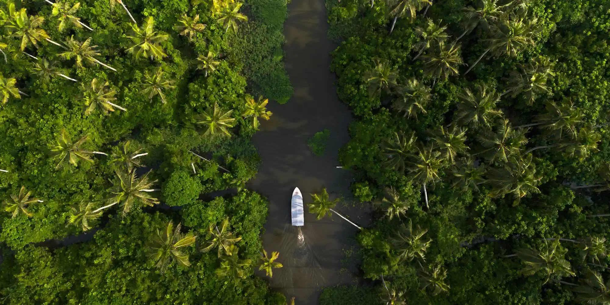 Eindrucksvolles Kerala Rundreise Rundreise Kerala Indien Ayuboa 4 Tage